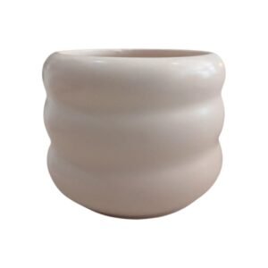WhatsApp Image 2025-05-09 at 10.43.43_6c246b85-Photoroom Ceramic Plant Pot Indoor