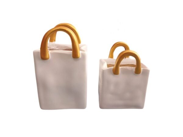WhatsApp Image 2025-05-09 at 10.43.49_3fd2092a-Photoroom Bags Mold